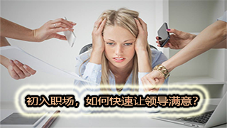 初入职场，如何快速让领导满意？