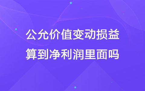 公允价值变动损益算到净利润里面吗