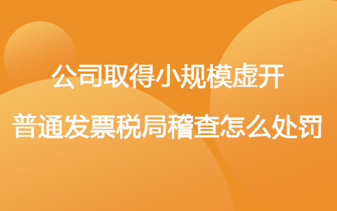 公司取得小规模虚开普通发票税局稽查怎么处罚