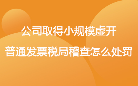 公司取得小规模虚开普通发票税局稽查怎么处罚