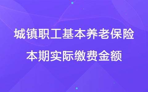 城镇职工基本养老保险本期实际缴费金额