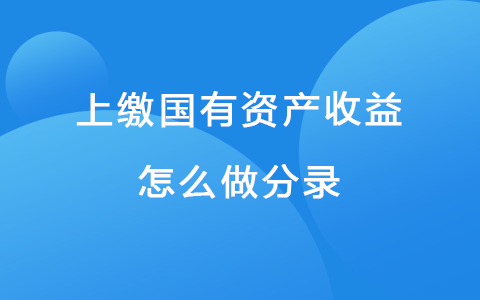 上缴国有资产收益怎么做分录