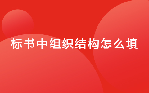 标书中组织结构怎么填