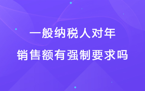一般纳税人对年销售额有强制要求吗