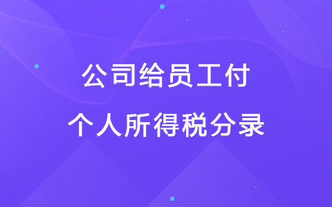 公司给员工付个人所得税分录