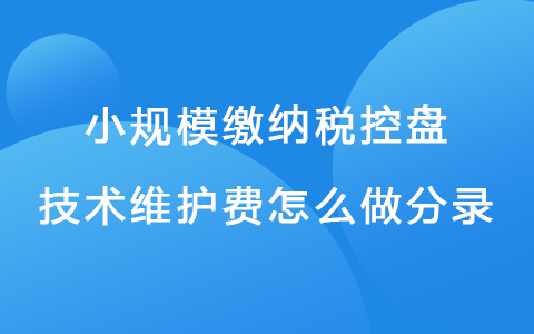 小规模缴纳税控盘技术维护费怎么做分录