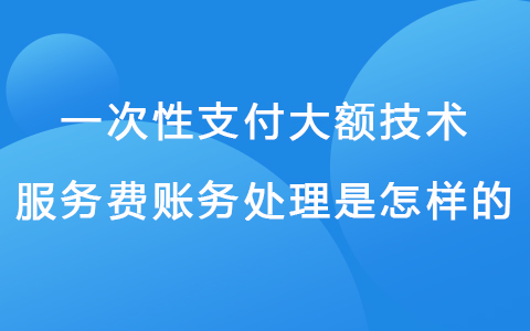 一次性支付大额技术服务费账务处理是怎样的