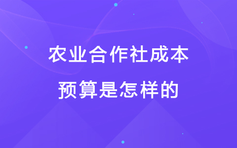 农业合作社成本预算是怎样的