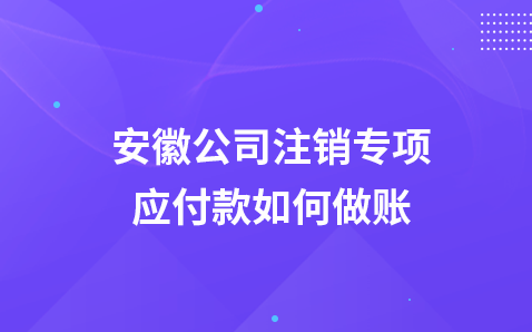 安徽公司注销专项应付款如何做账