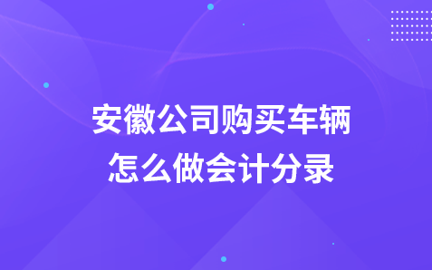 安徽公司购买车辆怎么做会计分录