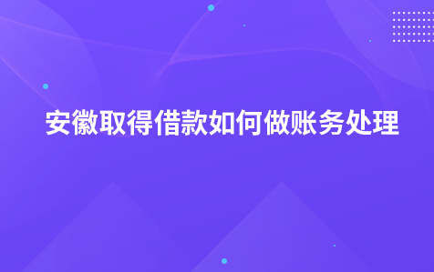 安徽取得借款如何做账务处理