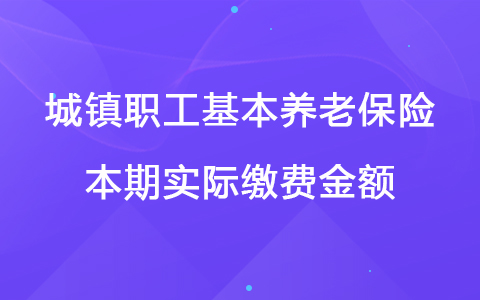 城镇职工基本养老保险本期实际缴费金额.jpg